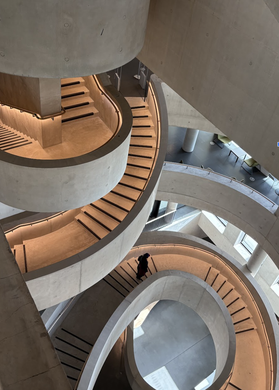 Why Does Your Degree Subject, Not Just Your Bank Balance, Dictate Your Well-Being Currency